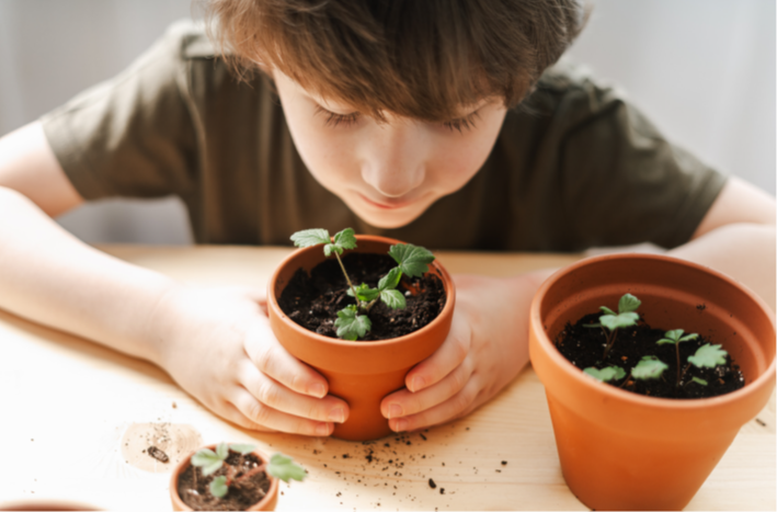 Expérience à emporter (jardinage)