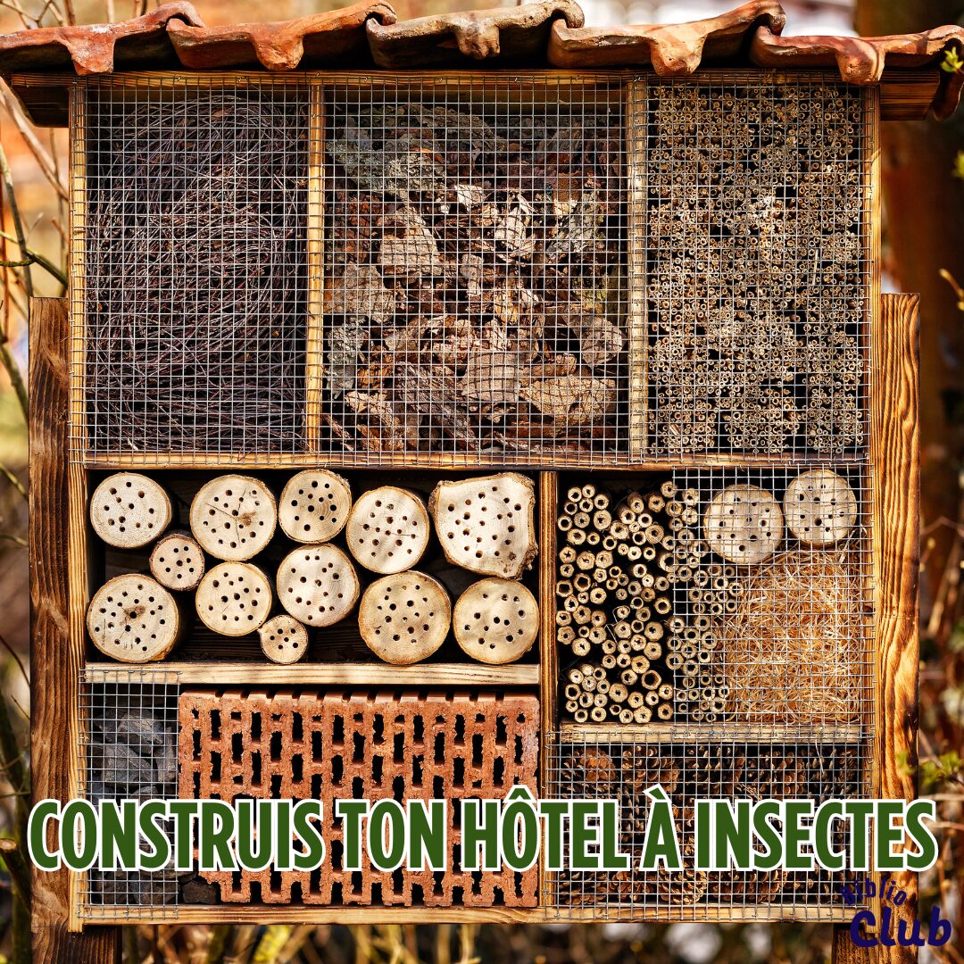 Construis ton hôtel à insectes