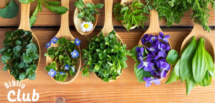 Plantes comestibles