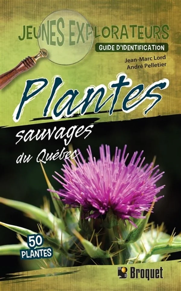 Plantes sauvages du Québec