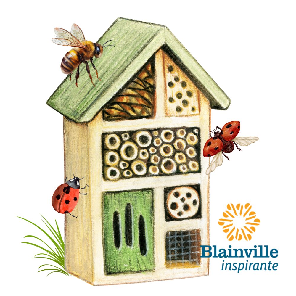 Création d’un hôtel à insectes