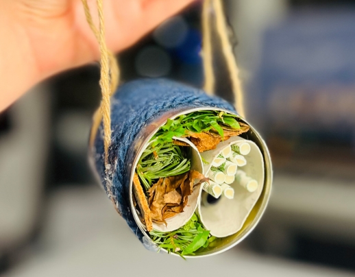 Construis ton hôtel à insectes